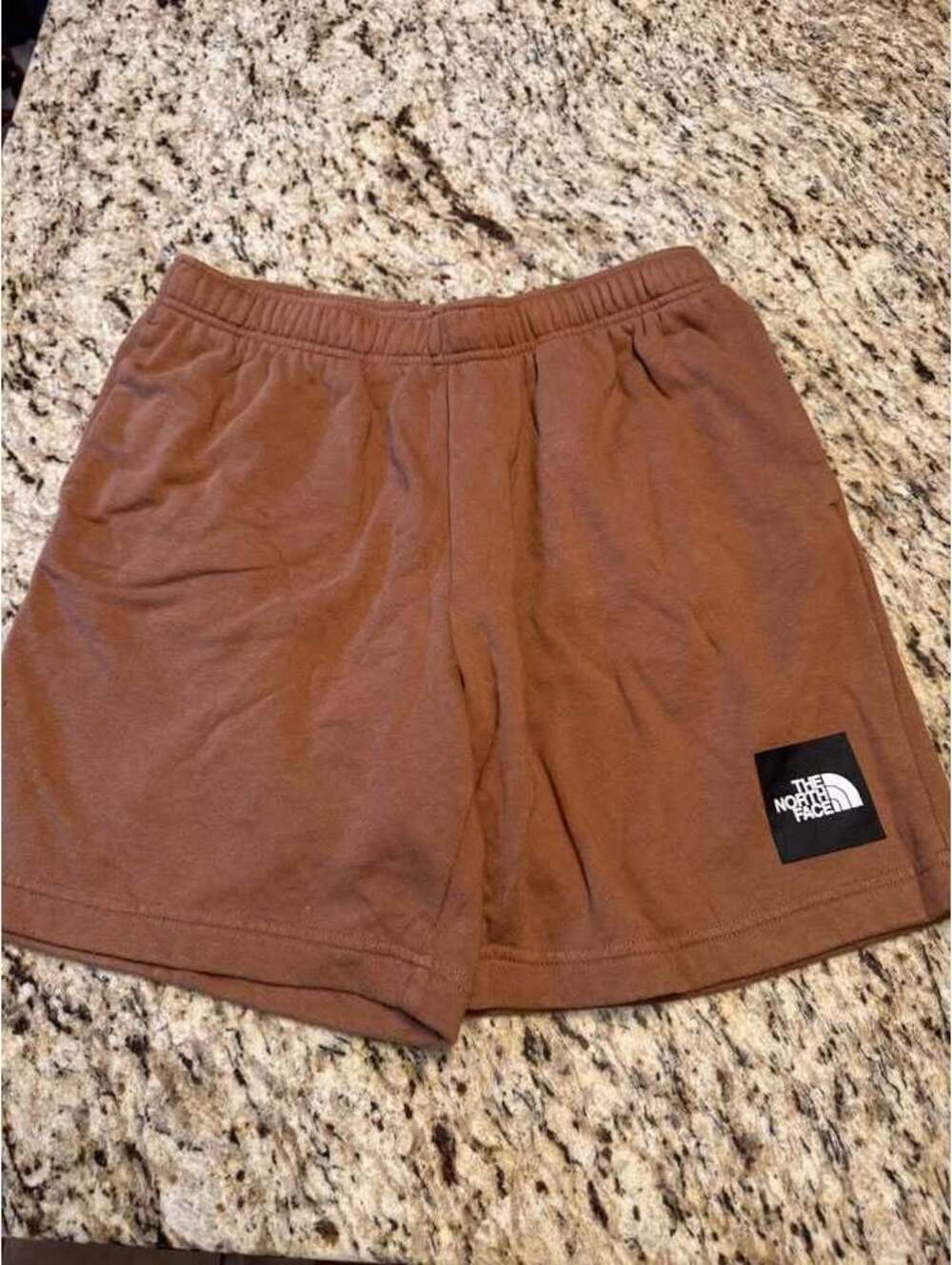 THE NORTH FACE Men's Box NSE Regular Shorts Medium